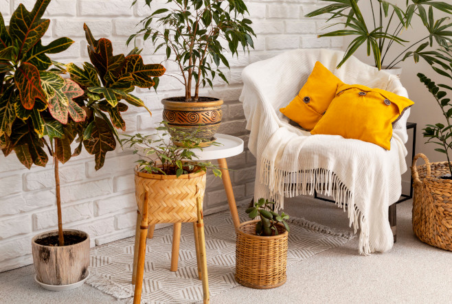 Decor